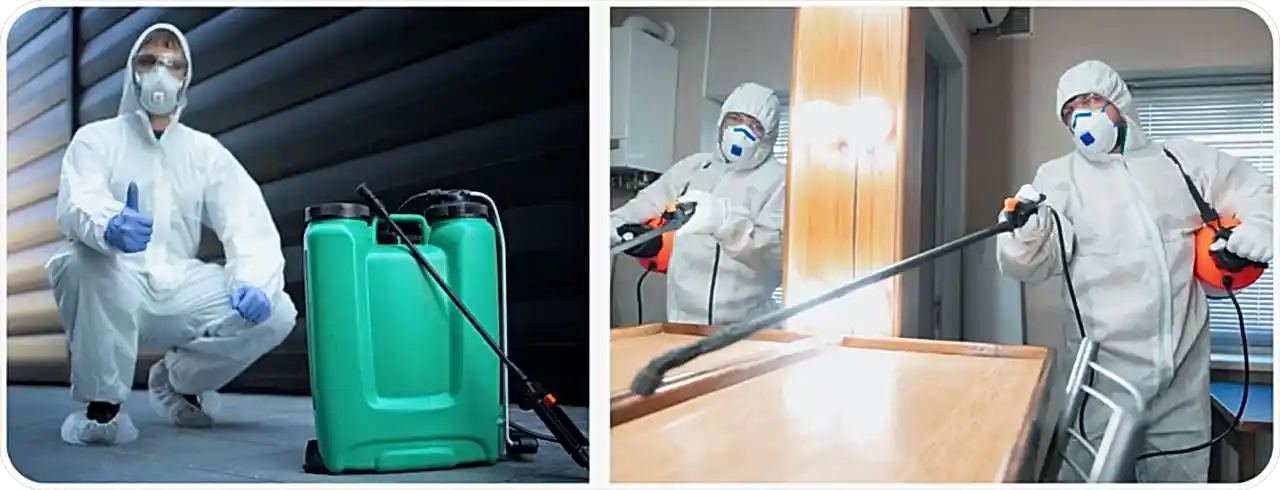 дезинсекция