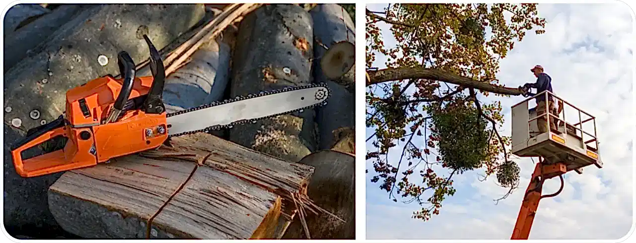 спил деревьев