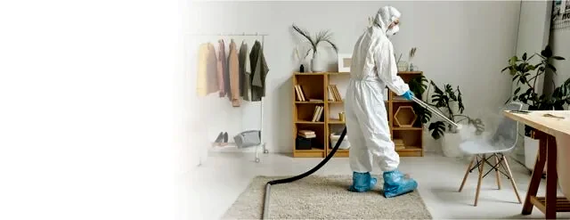 дезинсекция